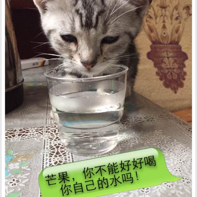 贝瑟尼神学院文凭毕业证成绩认证